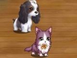 See who has the best pets in Fluffy Tale