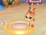 Play time in My Cat My Cat play time