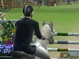 Showjumping in Ride: Equestrian Simulation Ride: Equestrian Simulation Showjumping