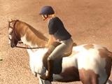 Riding Club Championships Riding Club Championships