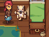 Your pet doggy in Fantasy Farming: Orange Season Your pet doggy in Fantasy Farming: Orange Season