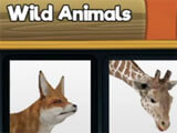 Choosing an animal in My Wild Pet Selecting an animal in the game