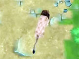 Gameplay of My Wild Pet My Wild Pet gameplay