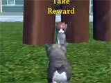 Collecting reward in the game