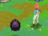 Gameplay of Fairyscapes Adventure Fairyscapes Adventure gameplay