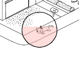 Cats are Cute Cats are Cute