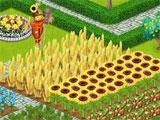 Crops Crops