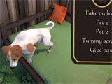 Pets Hotel: Prologue