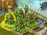 Moon Valley Farming Activity Farming Activity in Moon Valley