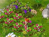 Dreamfields: Crops ready for harvest Dreamfields: Crops ready for harvest
