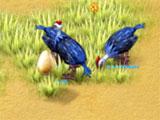 Farm Frenzy 3: Madagascar Guinea Birds
