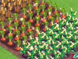 FarmVille 2: Country Escape 