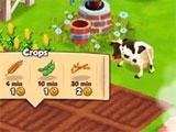 Top Farm Crops