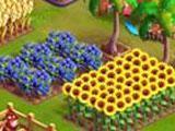 Funky Bay: Growing Crops