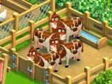 Funky Bay: Farm Animals