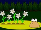 Pou: Gardening