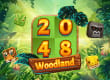 2048 Woodland game