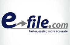 Software to file taxes online - Survey Option 3