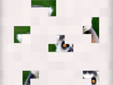 Fun puzzle in Bonza National Geographic Bonza National Geographic fun puzzle