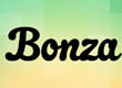 Bonza Word Puzzle game