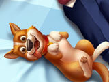 Pet Dog in Words on Journey Words on Journey Pet Dog