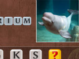 PixWords PixWords