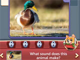 Trivia question in the game Trivia question in Word Craze - Trivia Crosswords