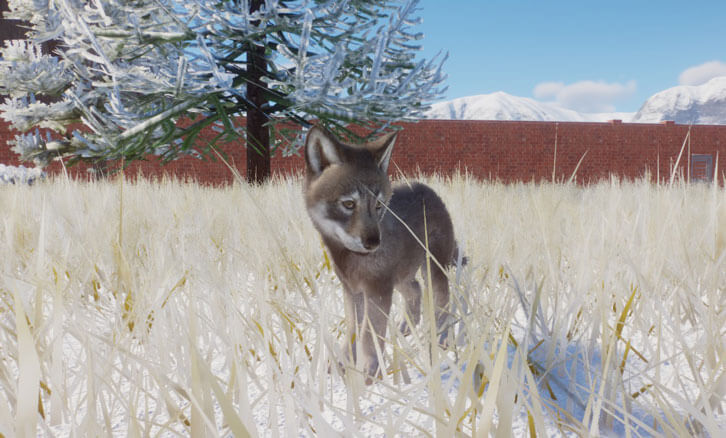 Planet Zoo s Arctic Pack PDLC Introduces Reindeers Arctic Wolves planet-zoo-s-arctic-pack-pdlc-introduces-reindeers-arctic-wolves