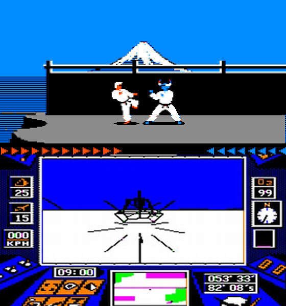 Karateka and Arctic Fox