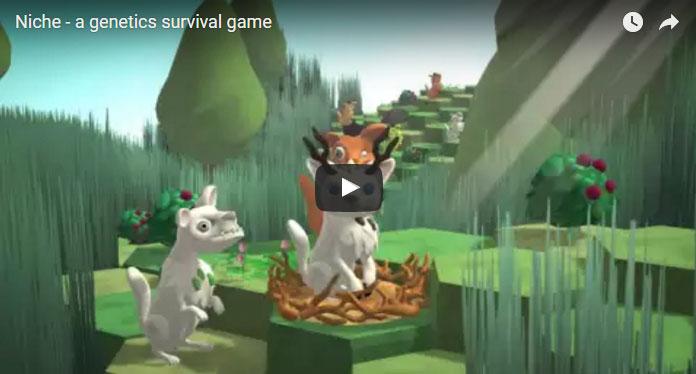 Support Niche on Kickstarter