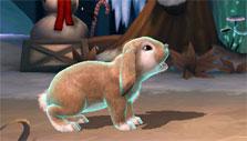 ComPet: Rabbit, I choose you! ComPet: Rabbit, I choose you!