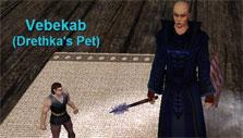 Playing as a necromancer in EverQuest