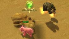 Battle of Immortals: Completing quests Battle of Immortals: Completing quests