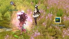 Foraging a plant in Revelation Online