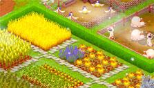 Crops in Golden Acres Crops in Golden Acres