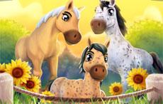 Horse Farm