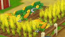 Wild West: New Frontier: Harvesting crops