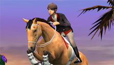 Competition in My Horse