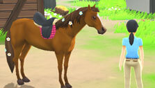 My Riding Stables: Your Horse Breeding: Dressing up your horse My Riding Stables: Your Horse Breeding: Dressing up your horse