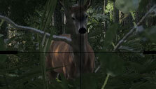Aiming at your prey in theHunter