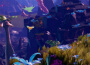 Planet Alpha Planet Alpha