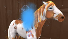 Bathing your horse in Horse Riding Tales