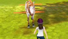 Taming a wild horse in Horse Riding Tales