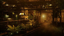 Close to the Sun: Hydroponics room