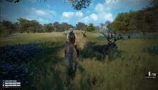 Riding a horse alongside deer in New Frontier Riding a horse alongside deer in New Frontier