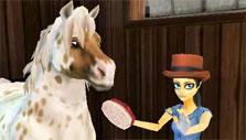 Grooming in Star Stable