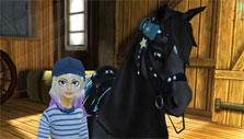 Star Stable Your Barn