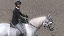 Ride: Equestrian Simulation Practice Field