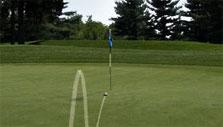Hole in One in World Golf Tour