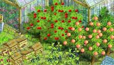Fruit trees in Free Farm Game